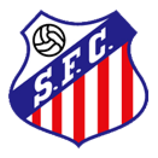 府中新町FC
